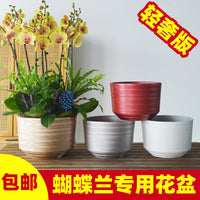 Orchid Pot with Tray, Thickened Plastic Planter for Phalaenopsis, 20cm Outer Diameter