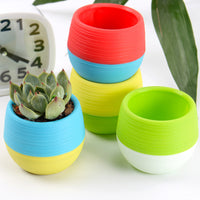 Self-Watering Succulent Planter Pot for Indoor Outdoor Plants