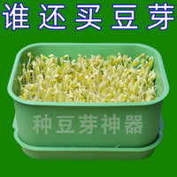 Bean Sprout Growing Kit with Two Lids and Frame for Home Use