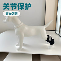 Adjustable Dog Knee Brace for Joint Protection and Injury Recovery