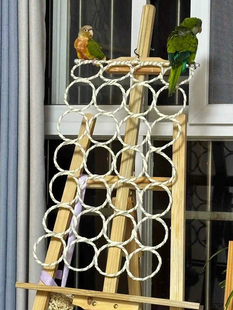 Parrot Climbing Net Hammock Chew Toy for Small to Medium Birds