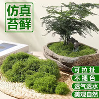 Artificial Moss Mat Realistic Faux Green Moss for Micro Landscape and Decor