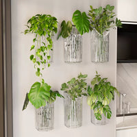 Wall-Mounted Hydroponic Planter for Indoor Plants - Clear Acrylic Decor