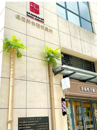 Artificial Coconut Palm Leaf Pipe Decor for Balcony Drainage & Fire Hoses