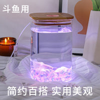 Glass Betta Fish Tank with LED Light for Desktop Micro-Landscape