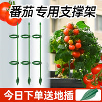 Tomato Plant Support Stakes with Clips and Ground Plugs for Climbing Vegetables and Flowers