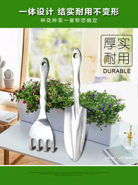 Mini Garden Trowel and Rake Set for Potted Plants and Gardening, Stainless Steel