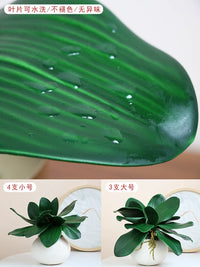 Artificial Hyacinth Flower with Realistic Leaves for Indoor Floral Arrangements and Decor