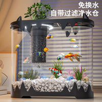 Desktop Mini Aquarium Kit with Filter and LED Light, Clear Plastic Eco-Friendly Fish Tank for Home Office Decor