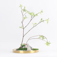 Iron Art Tray for Bonsai and Micro Landscape Planters, Metal Base for Green Plants and Floral Arrangements