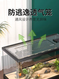 Reptile Terrarium for Geckos, Lizards, and Hermit Crabs - Transparent Habitat with Optional Accessories
