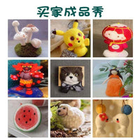 Needle Felting Tool Set for Beginners DIY Craft Kit with Queensland Wool Roving
