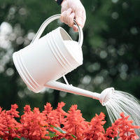 Garden Watering Can with Long Spout for Indoor and Outdoor Plants
