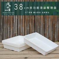 Thickened Multi-functional Succulent Plant Soaking Tray with Seedling Starter and Humidity Dome
