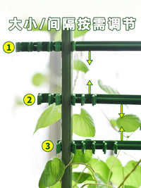 Tomato Cage Plant Support Stakes for Climbing Vegetables and Potted Plants
