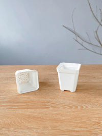 Thickened Square Plastic Succulent Planter Pots for Seedling Propagation