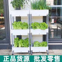 Self-Watering Multi-Layer Planter Box for Balcony Gardening