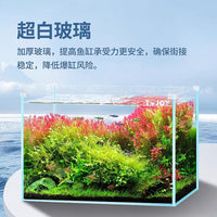 Ultra-White Glass Fish Tank with Ice Blue Landscape for Betta and Goldfish