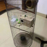 Galvanized Iron Wire Mesh for Bird Cages and Flower Pots, Rust-Proof, Encrypted Breeding Net for Indoor Use