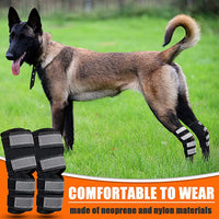 Pet Dog Knee Brace for Injury Recovery and Support