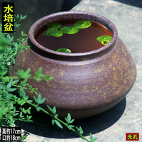 Vintage Hydroponic Planter Pot for Indoor Plants - No-Hole Design for Water Cultivation