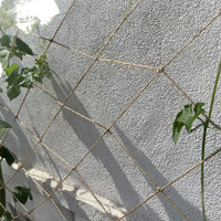 Agricultural Plant Climbing Netting for Fruits, Vegetables, and Decorative Vines