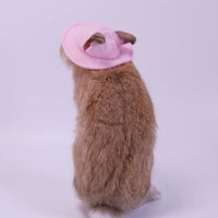 Pet Sun Hat for Cats, Rabbits, and Small Dogs - Cute Ear-Hole Design