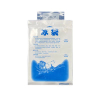 Reusable Gel Ice Packs for Food Preservation and Cold Chain Transport - Ideal for Shipping Perishables
