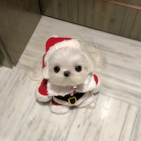 Pet Christmas Santa Claus Costume Set with Hat and Cape for Dogs and Cats