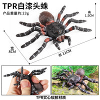 Realistic Spider and Insect Animal Models for Kids - TPR Material Stress Relief Toys