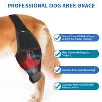 Dog Knee Brace for Injury Recovery and Joint Protection