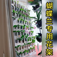 Orchid Plant Stand with Wheels, Grid Trellis for Indoor Balcony, Hanging Storage, Mobile Floor-Standing