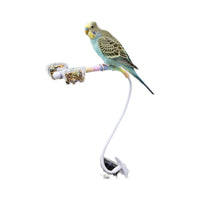 Parrot Universal Perch with Waste Tray - Bite-Resistant Claw Grinding Stand