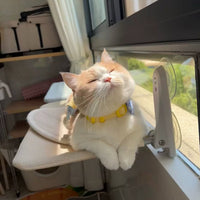 Cat Window Hammock with Suction Cups, Foldable Indoor Sunbathing Perch for Cats