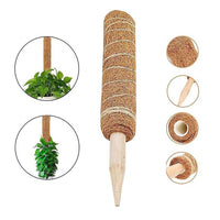 Coir Moss Pole for Climbing Plants, Monstera, Pothos, and Indoor Greenery Support