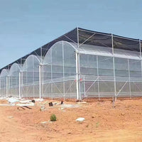 Multi-Span Greenhouse Kit with Smart External Shading & Internal Insulation for Vegetables