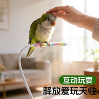 Parrot Universal Perch with Waste Tray - Bite-Resistant Claw Grinding Stand