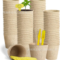 Kids DIY Planting Foam Flower Pot Craft Kit with Seedling Cups