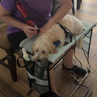 Pet Grooming Hammock with Stand for Bathing and Nail Trimming, Anti-Scratch and Bite-Resistant