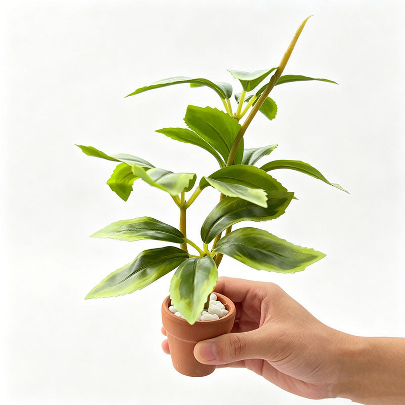 Dollhouse Miniature Potted Green Plant Decoration for BJD Dolls