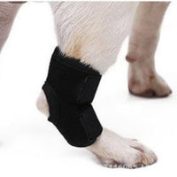 Pet Post-Surgery Recovery Leg Sleeve for Dogs - Anti-Lick Joint Support