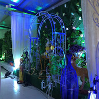 European Style Metal Garden Arch with Gate for Climbing Plants