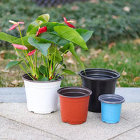 Disposable Two-Tone Nursery Pots for Seedlings and Succulents, Plastic Planters for Home Gardening