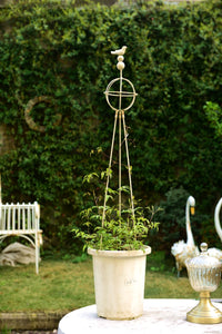 Adjustable Spherical Distressed Bird Trellis for Climbing Plants