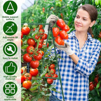 Adjustable Steel Pipe Trellis for Climbing Plants, Cucumber, and Vegetable Support