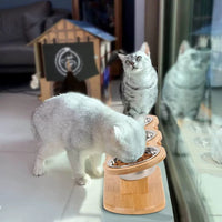 Wooden Pet Bowl Stand for Cats and Dogs, Elevated Feeder for Home Living Room