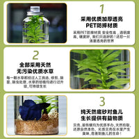 Creative Ecosystem Bottle Micro Landscape Betta Fish Tank, Self-Cleaning Desktop DIY Aquarium