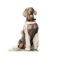 Pet Cooling Vest with Ice Packs for Dogs, Breathable Four-Legged Summer Outfit