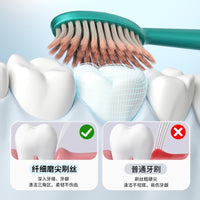 SWT Roman Column Wide-Head Soft Bristle Toothbrush for Adults