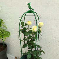 Garden Climbing Plant Support Trellis for Roses, Clematis, and Vines